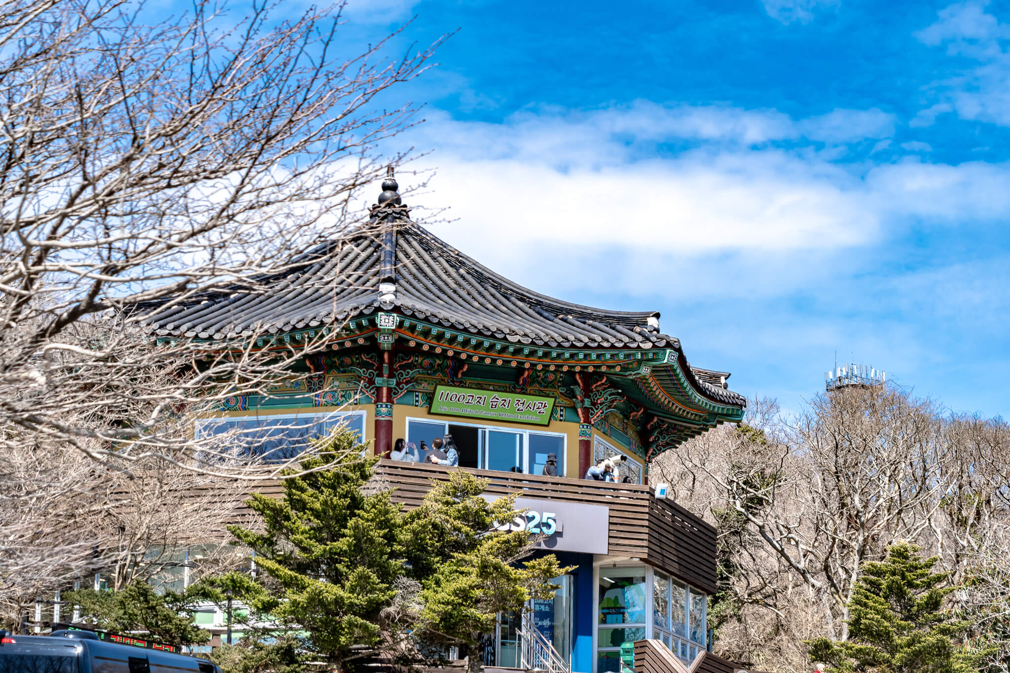 Jeju Island: 7 Highlights zwischen Vulkaninsel & Kirschblüte 2 Der höchste Convenience Store Südkoreas