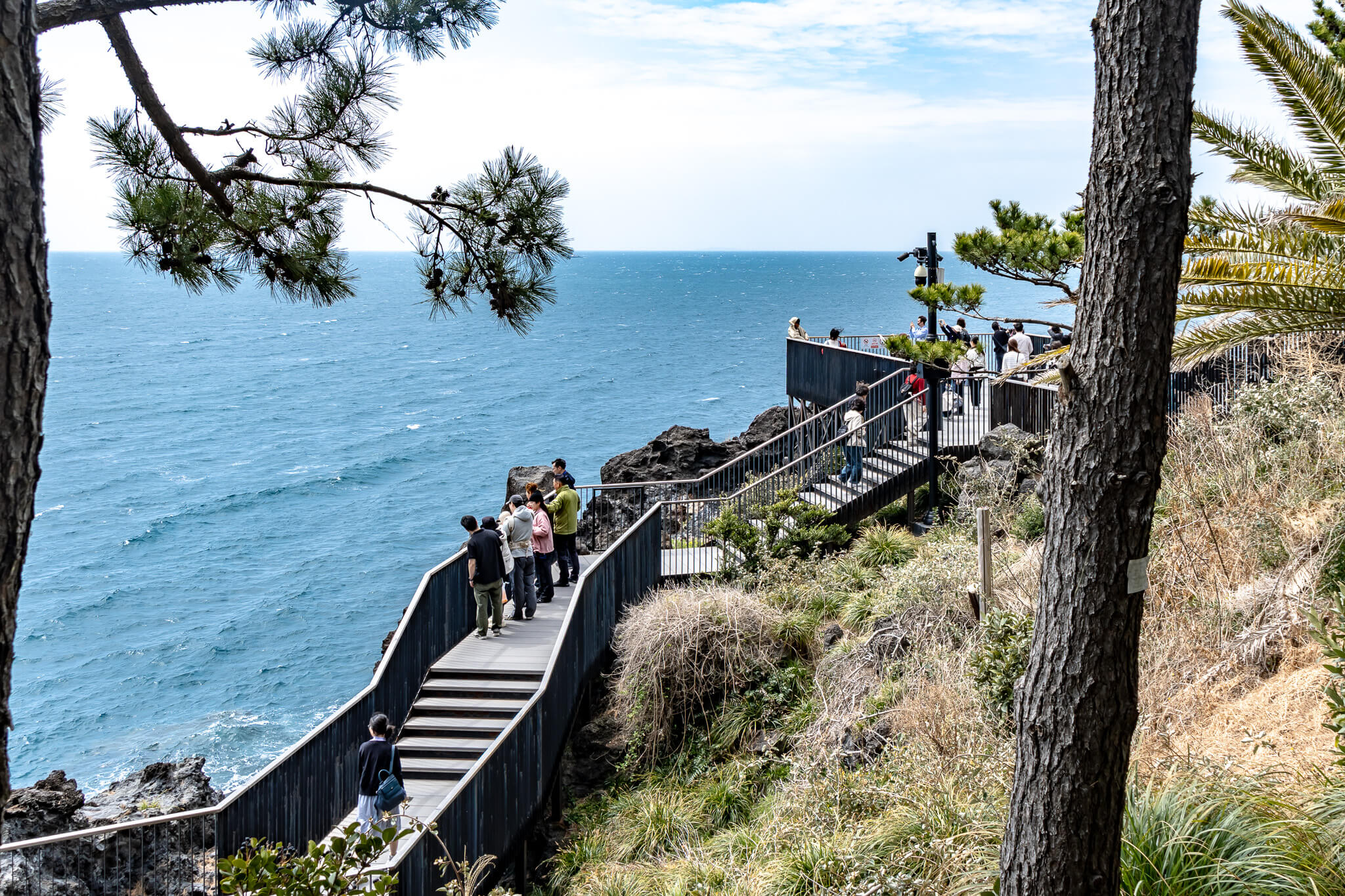 Jeju Island: 7 Highlights zwischen Vulkaninsel & Kirschblüte 7 Die Wege am Jusangjeolli Cliff