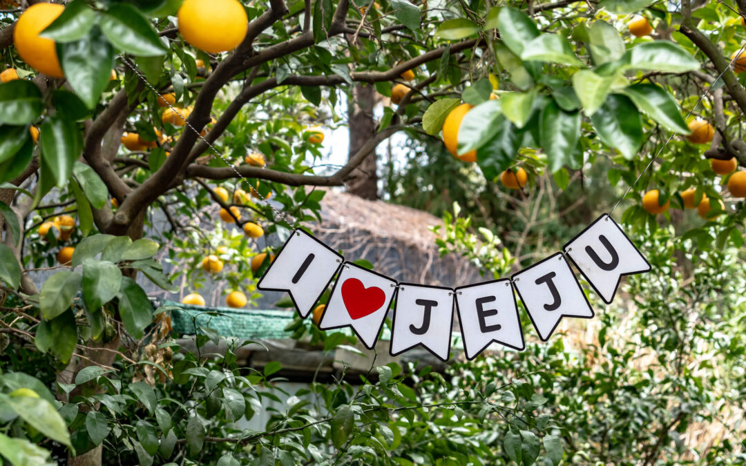 Jeju Island: 7 Highlights zwischen Vulkaninsel & Kirschblüte