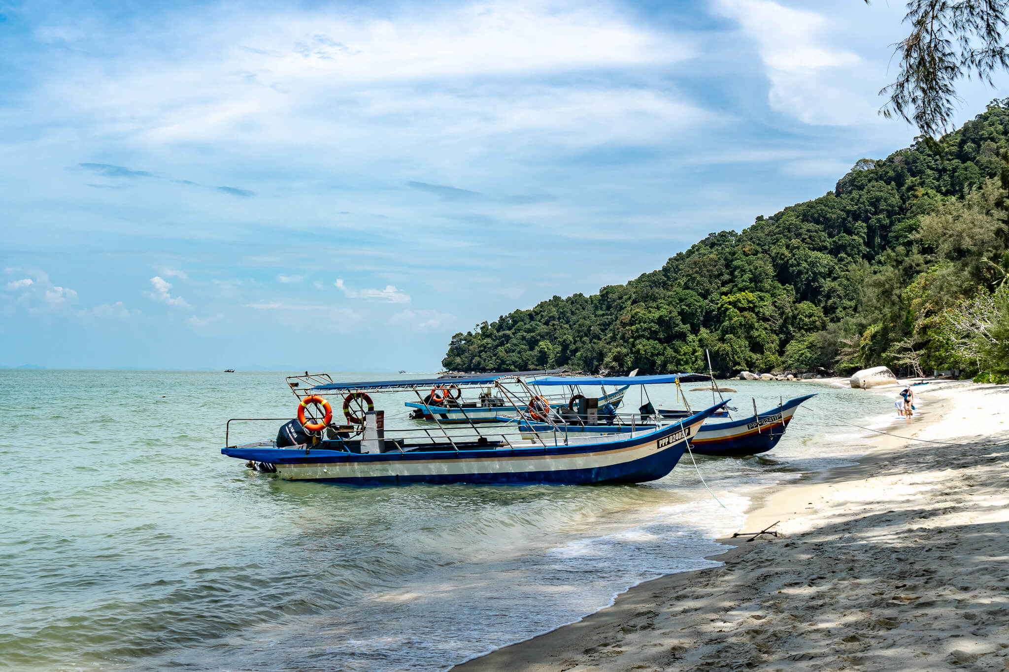 Im Nationalpark von Penang am Monkey Beach