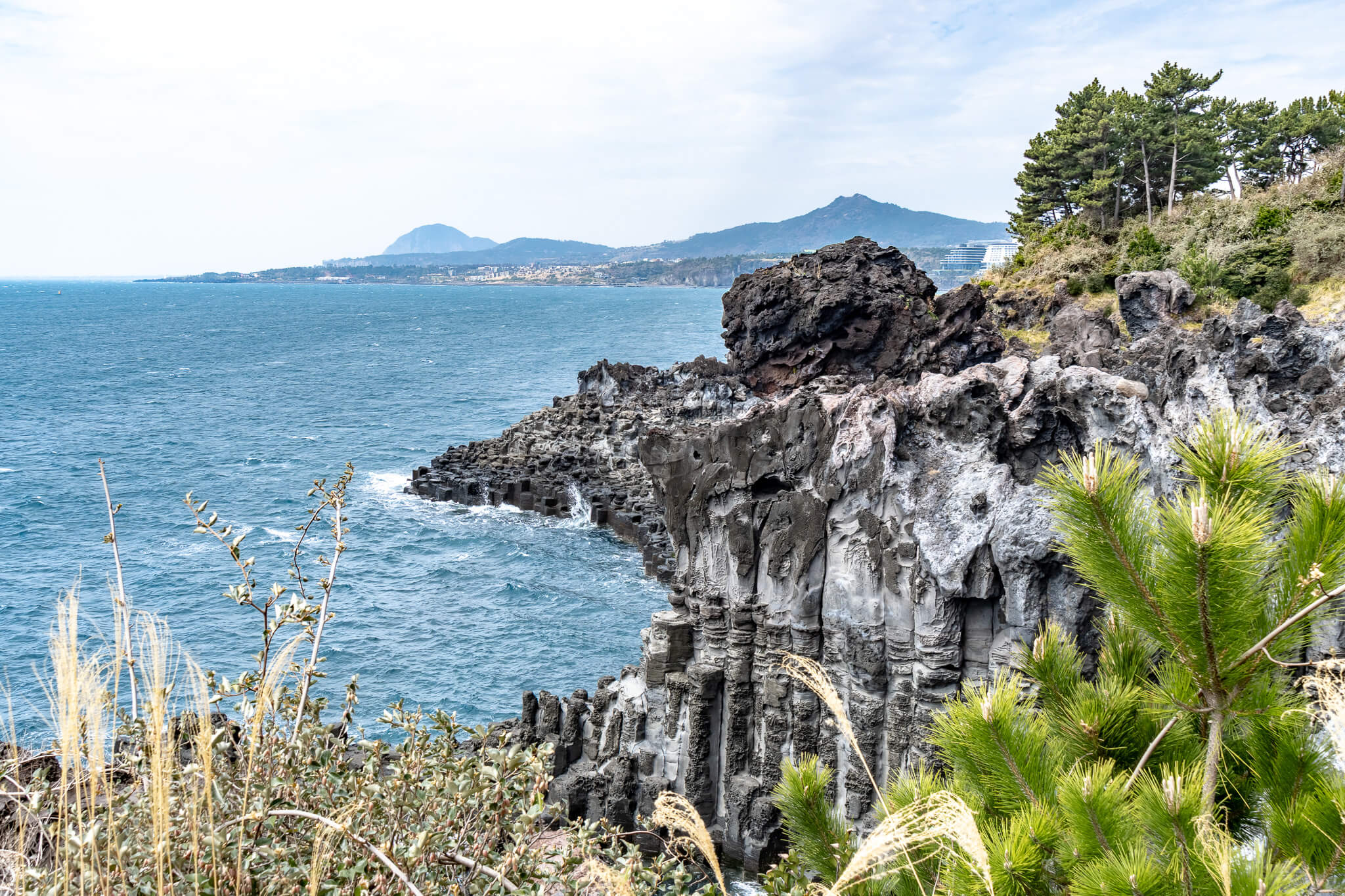 Jeju Island: 7 Highlights zwischen Vulkaninsel & Kirschblüte 6 Jusangjeolli Cliff