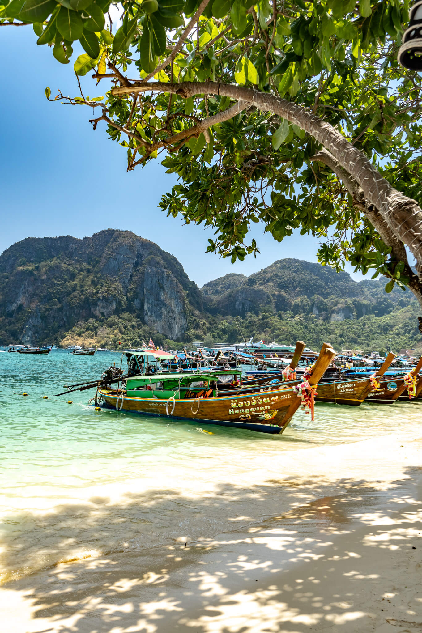 Phi Phi Island