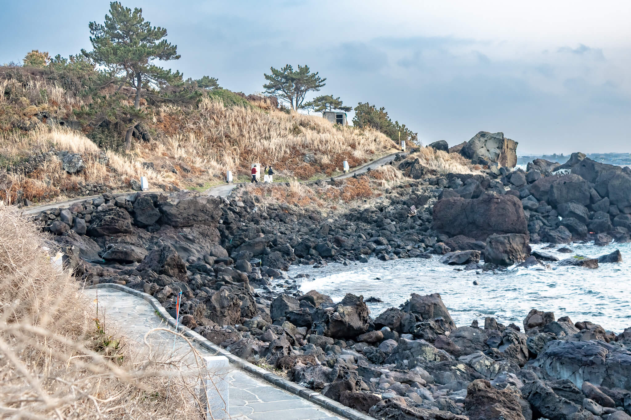 Jeju Island: 7 Highlights zwischen Vulkaninsel & Kirschblüte 3 Promenade an der Aewol Café Street