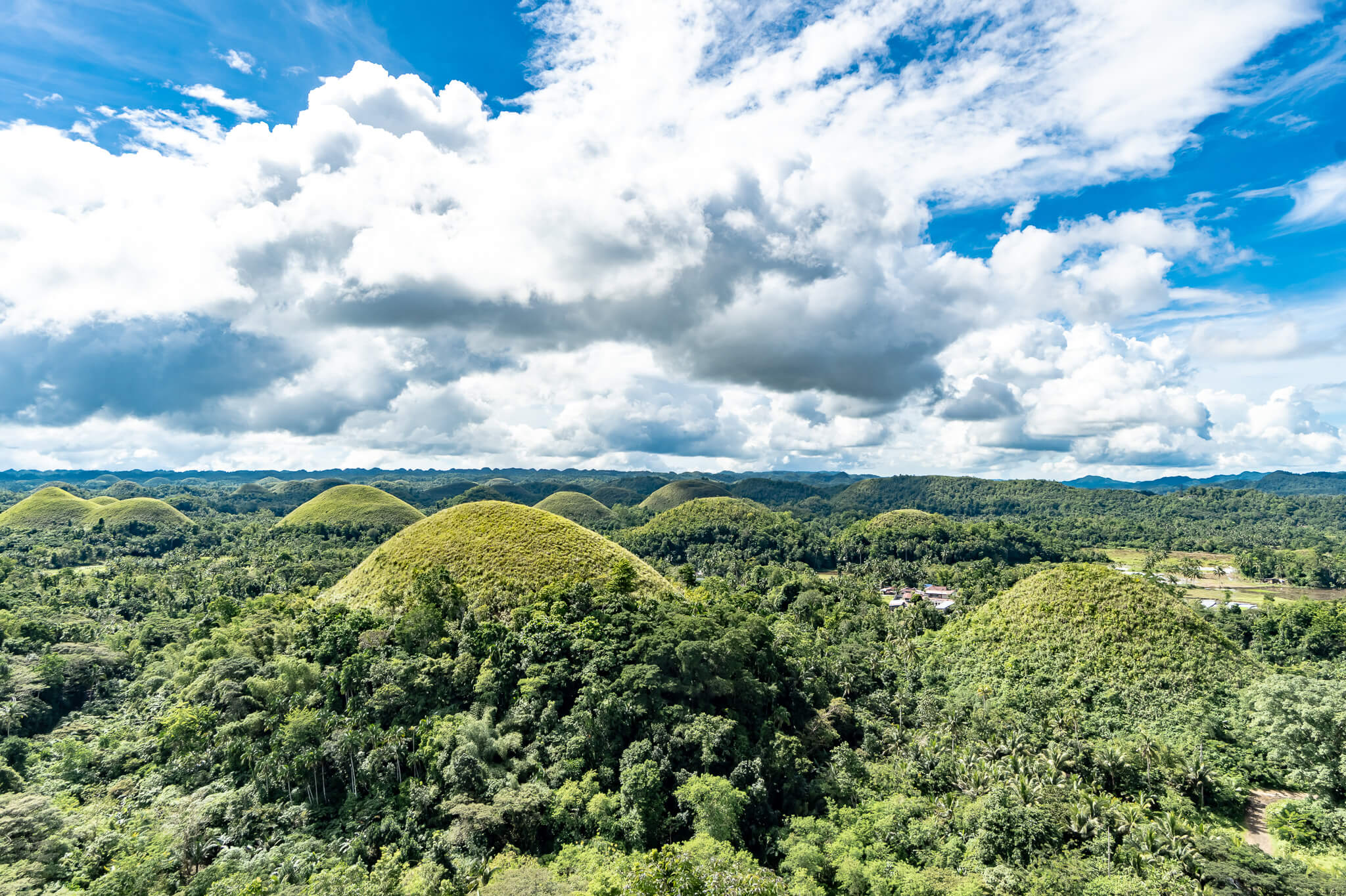 Ausblick auf die Chocolate Hills