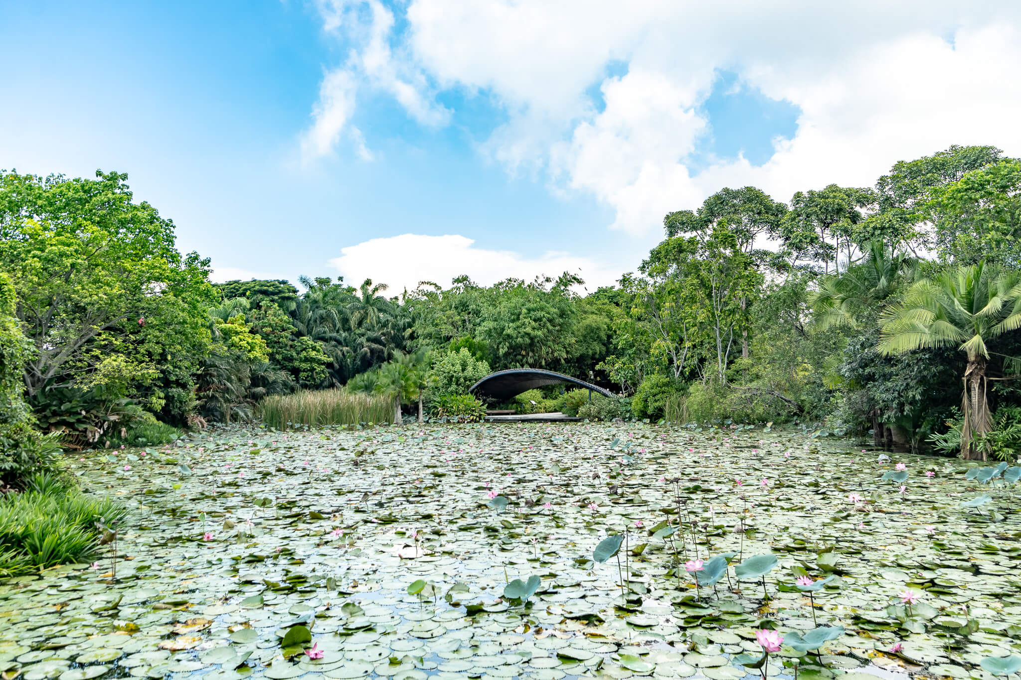 Der Kingfisher Lake