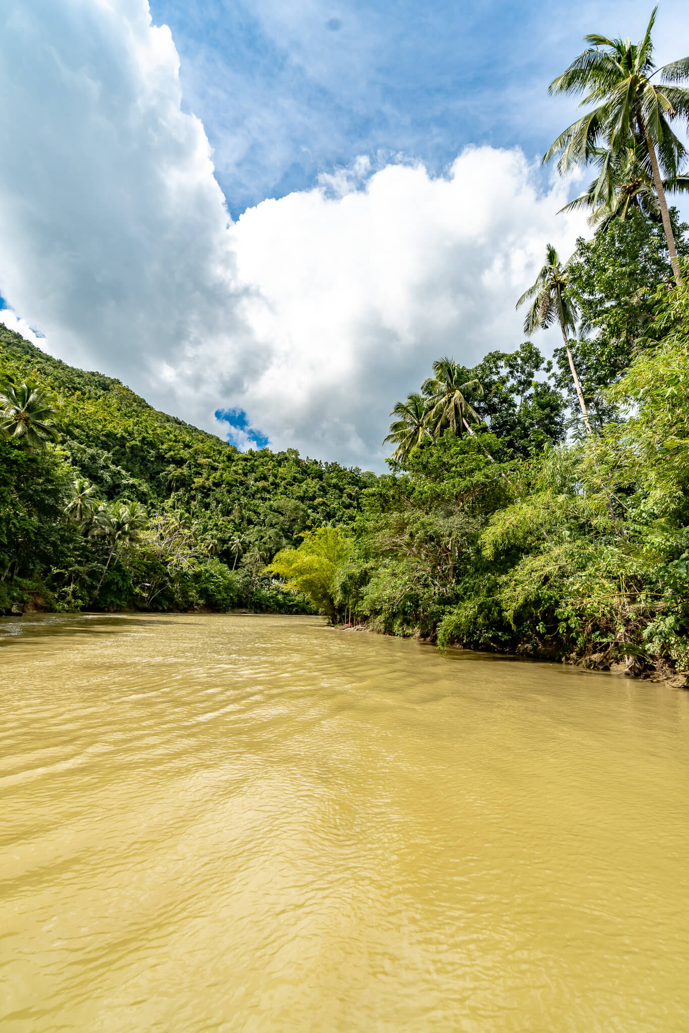 Der Loboc River