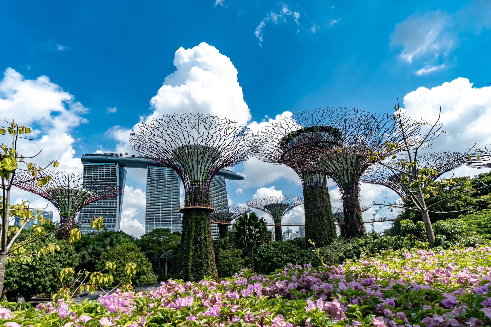 Der Supertree Grove