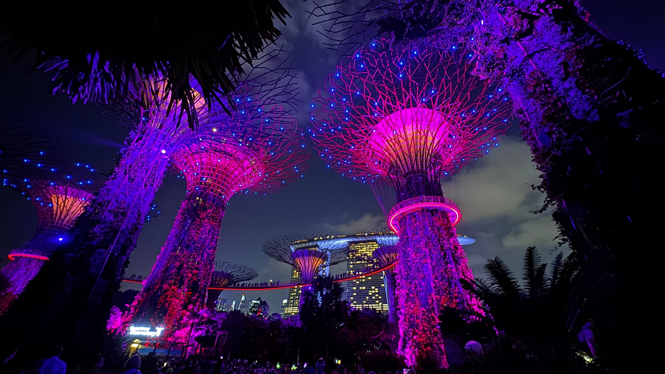 Garden Rhapsody Lichtshow in Gardens by the Bay