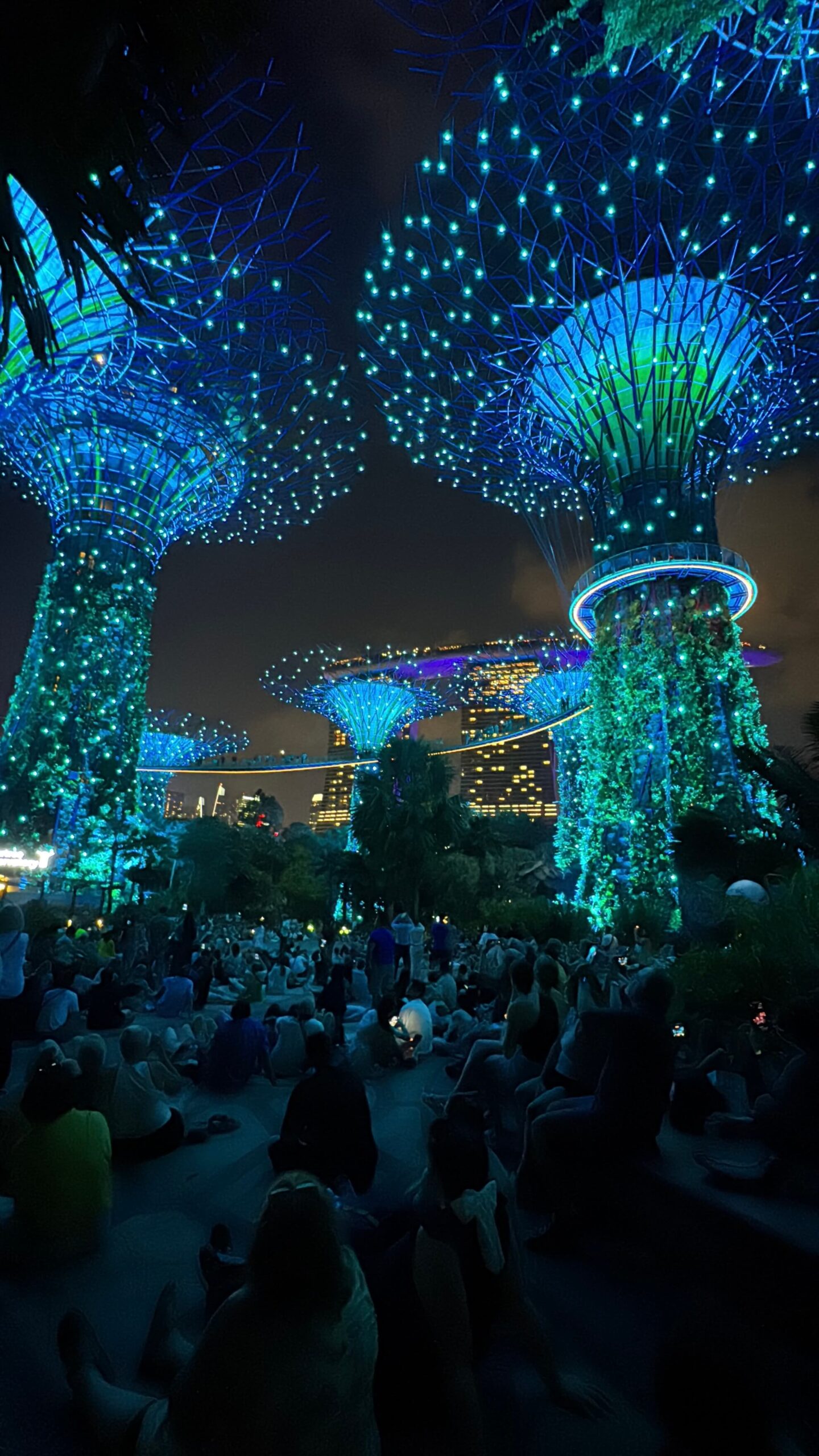 Garden Rhapsody Show bei den Supertrees in Singapur