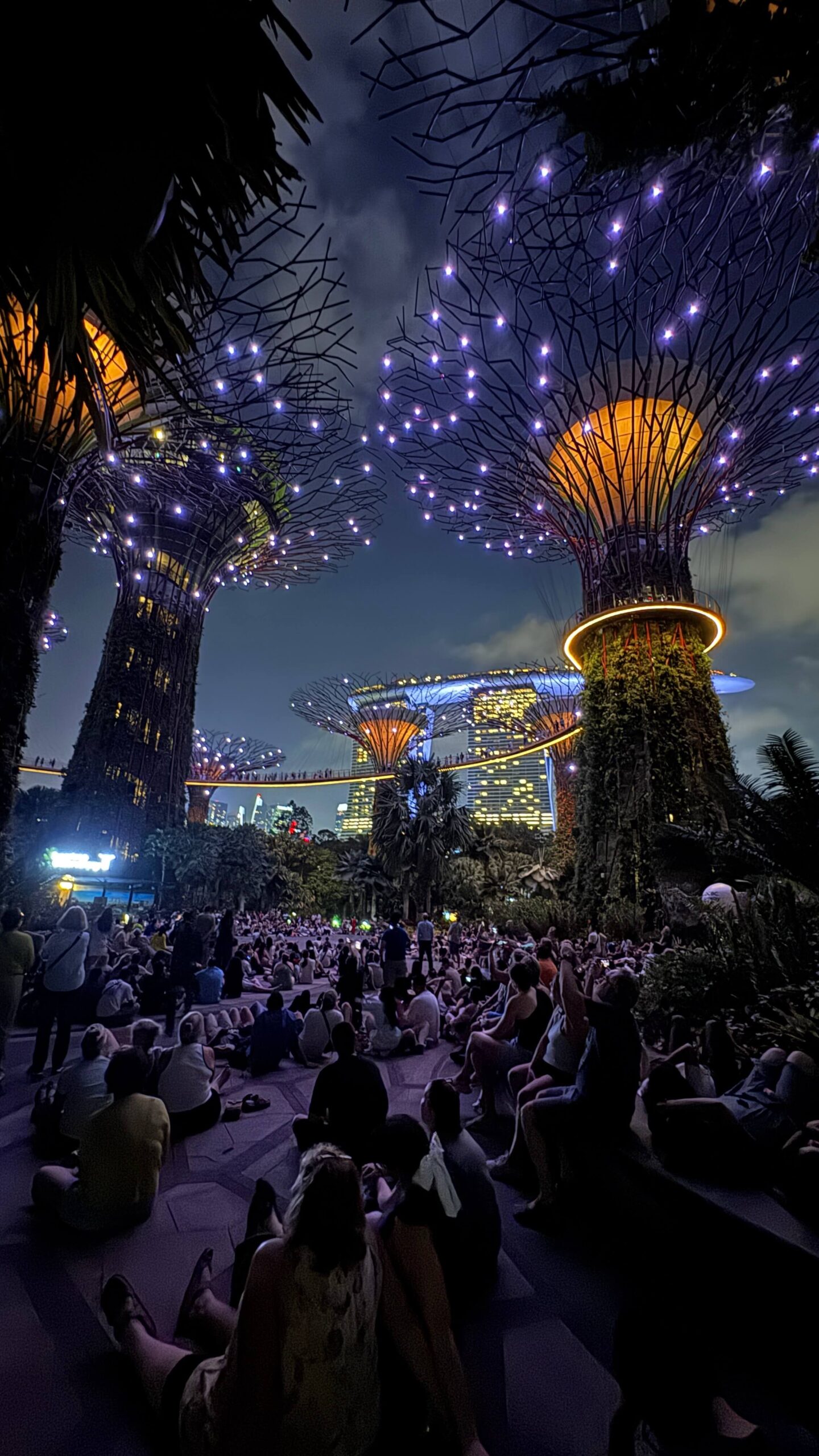 Garden Rhapsody bei den Supertrees in Gardens by the Bay