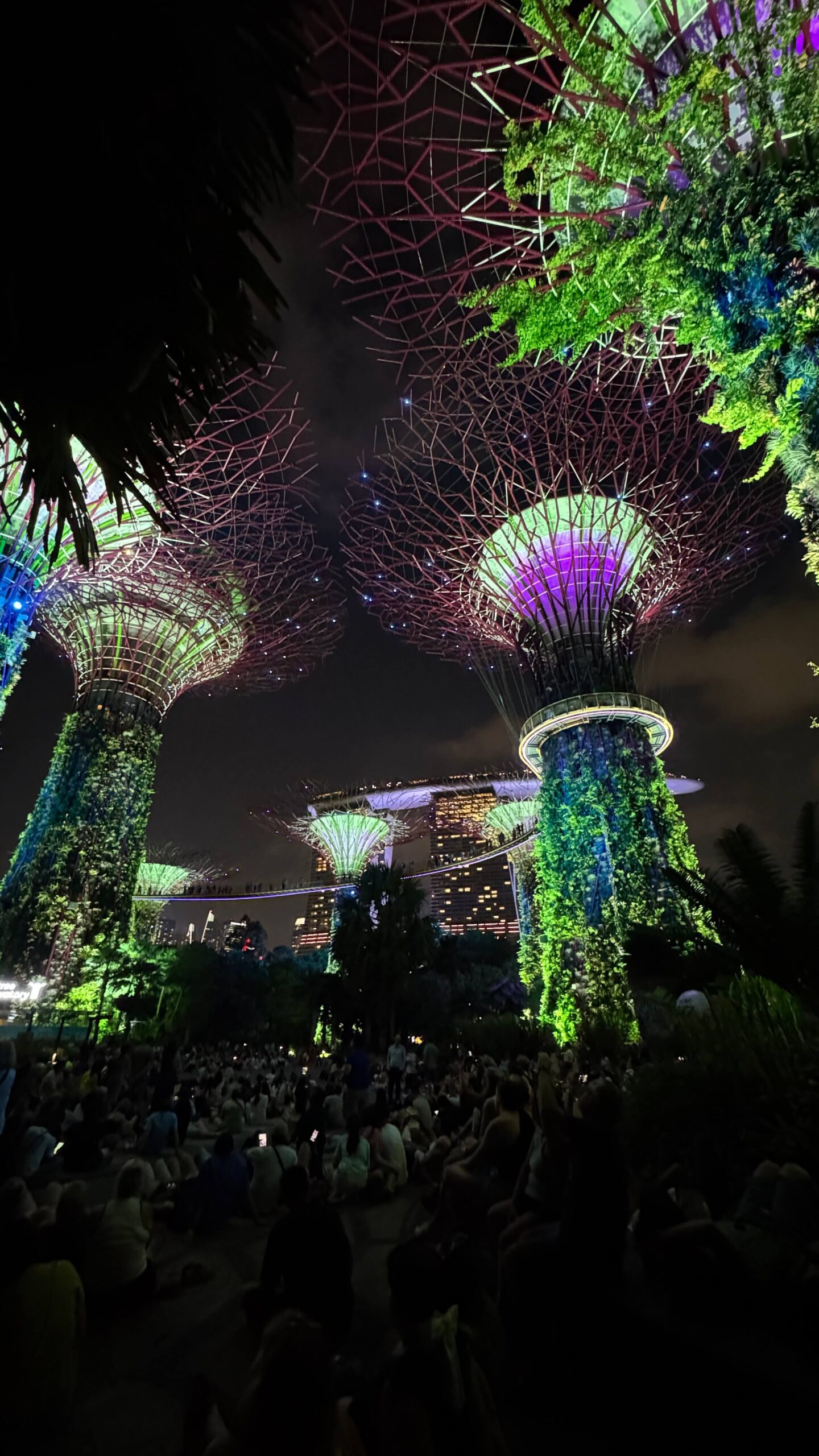 Garden Rhapsody bei den Supertrees in Singapur