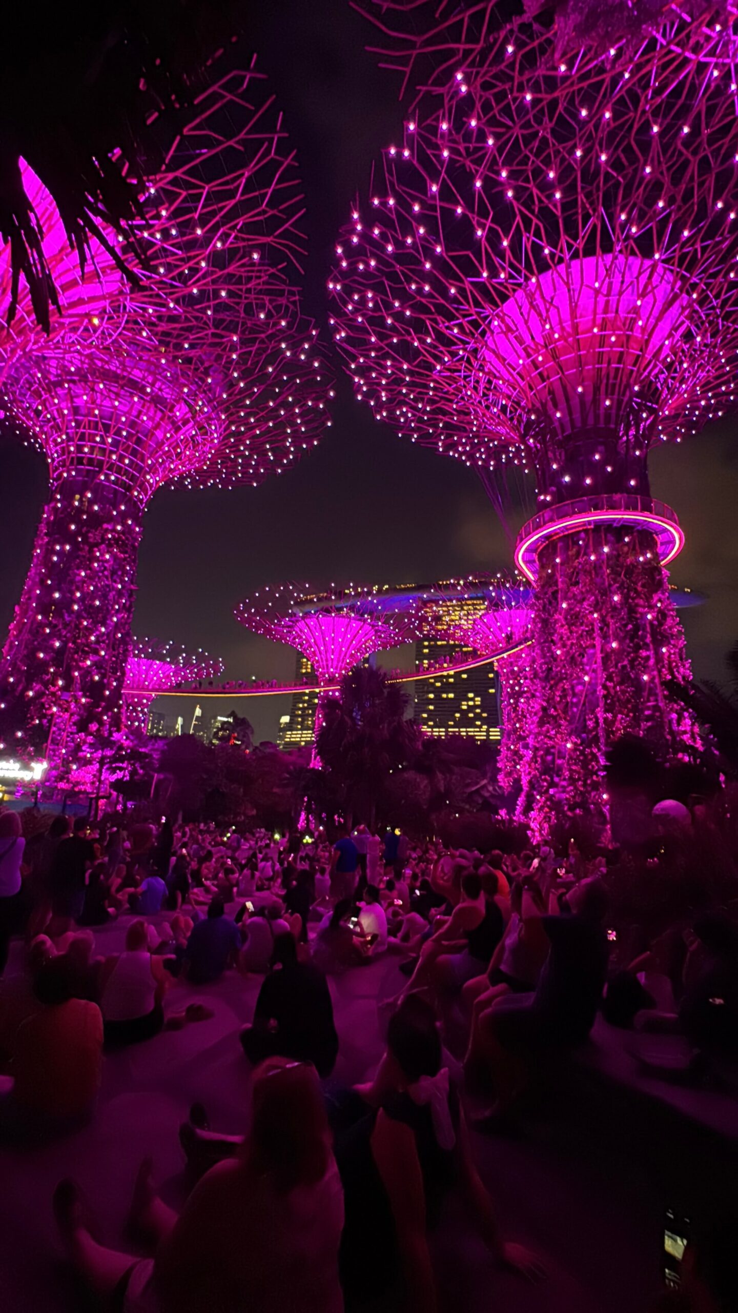 Garden Rhapsody in pink bei den Supertrees in Singapur