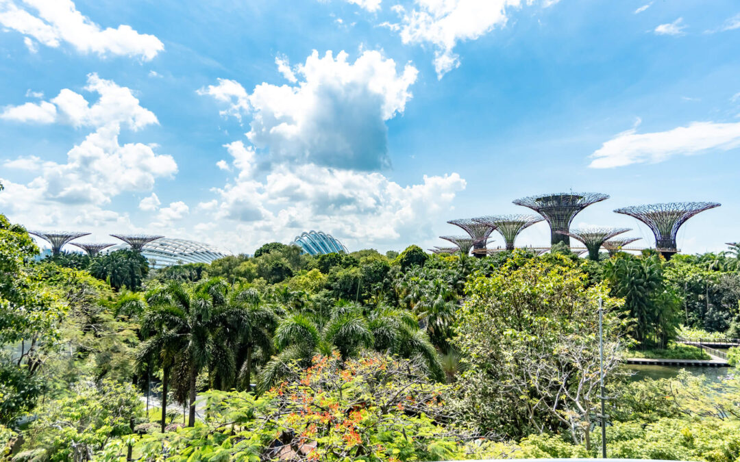 Gardens by the Bay: Sehenswürdigkeiten, Tipps & Preise