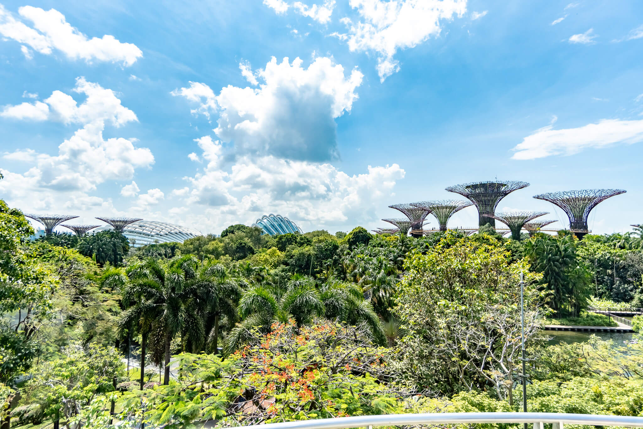 Gardens by the Bay
