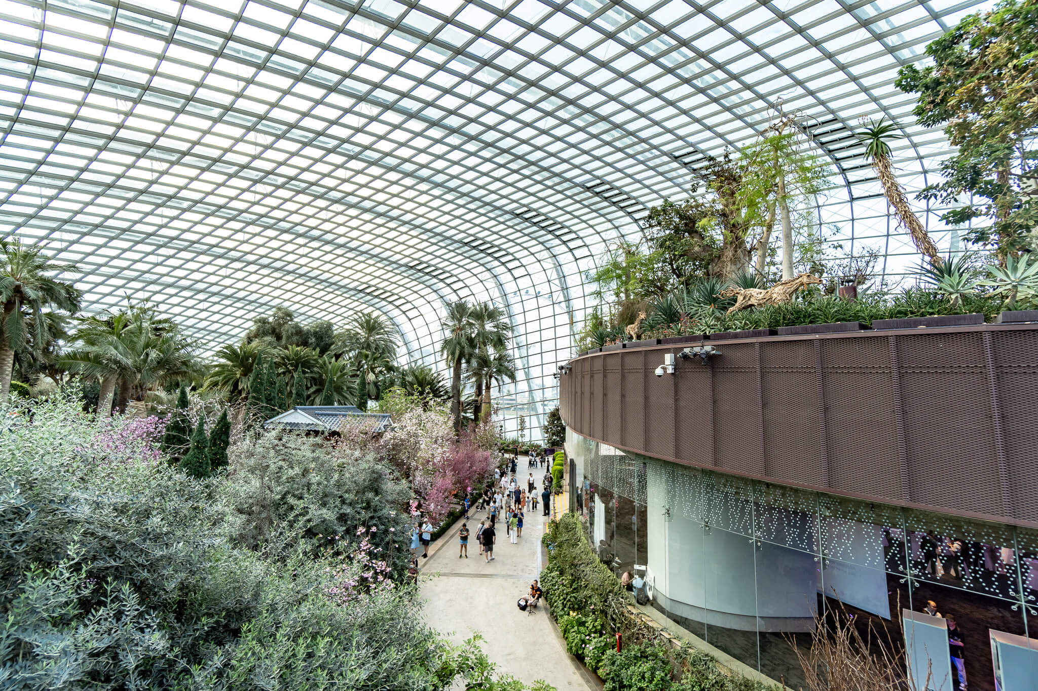 Im Flower Dome