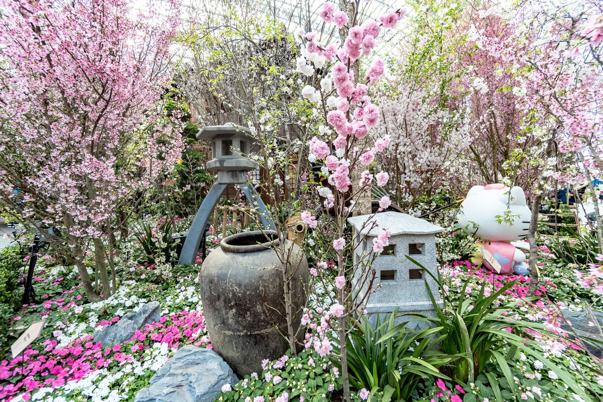 Kirschblüten und Hello Kitty im Flower Dome