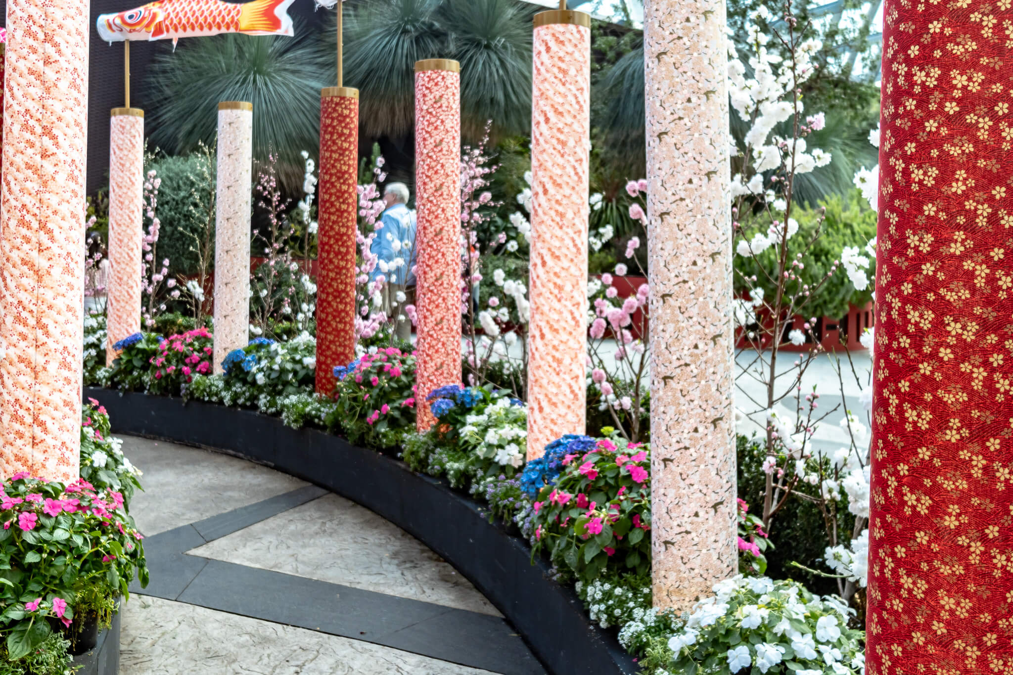 Sakura im Flower Dome