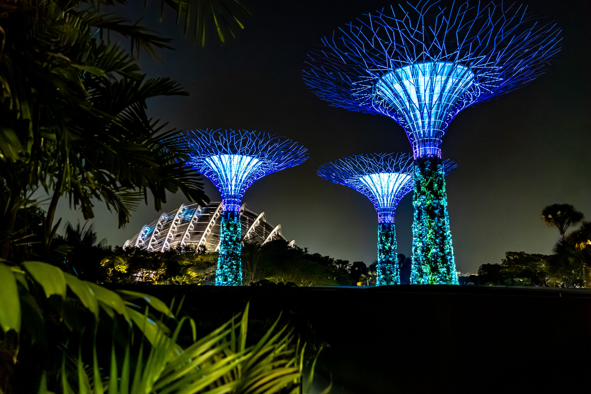 Supertrees nach Sonnenuntergang